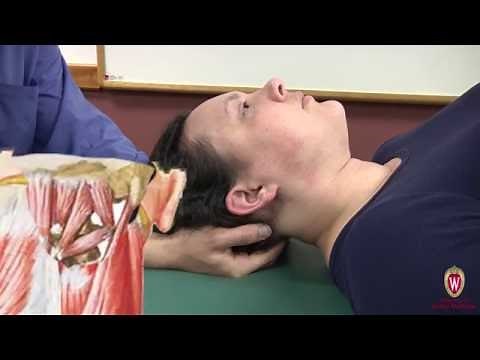 Suboccipital Tension Release