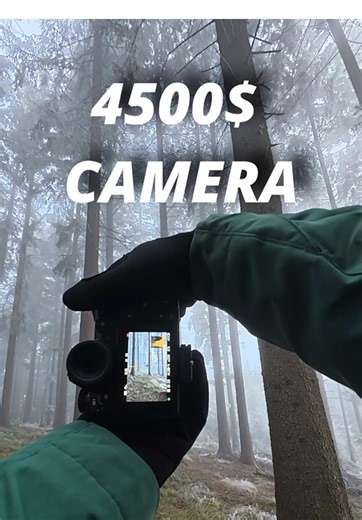 $50 camera vs $4,500 full-frame vs iPhone 📸 Same scene. Very different results. The crazy part? Most people won’t guess them right. Comment which one you think is best 👇” #povphotography #woodlandphoto