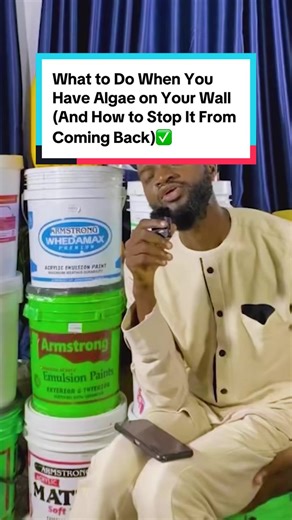 How to Remove Algae from Your Walls Effectively