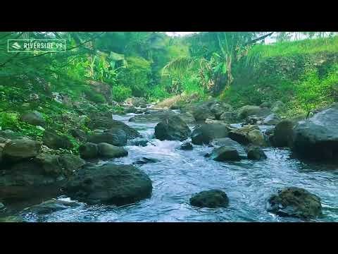 River Sounds for Sleeping 🌙 Calm River Ambience for Insomnia & Healing Sleep