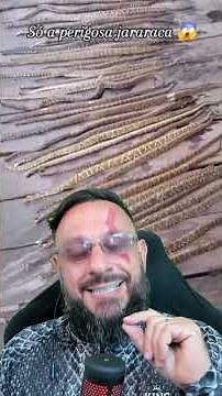 36 jararacas #biologohenrique #animals #smartanimal #biologist