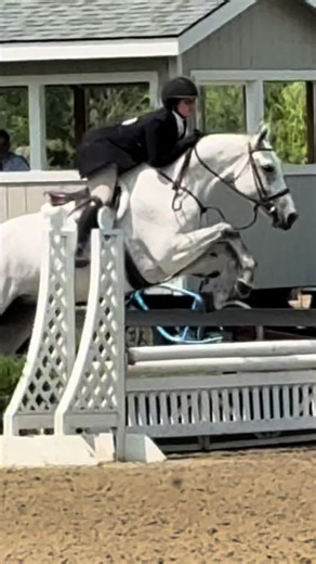 Obsessed with Her! 🦄💜 Hunter Jumper Horse Show