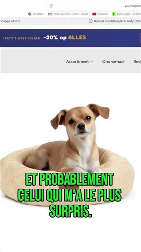 🚨 Ces 3 Produits Rapportent Plus de 10 000 €/Mois