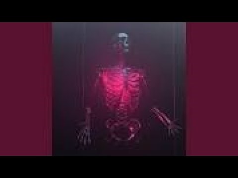 Did I Stutter (1 hour)