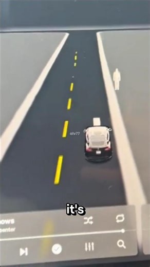 Tesla Detecting Ghosts?