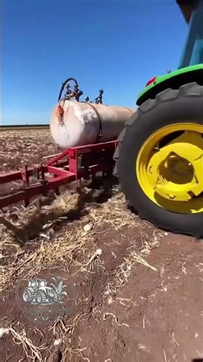 Preparing for sorghum planting after onion harvest #mexicanfield