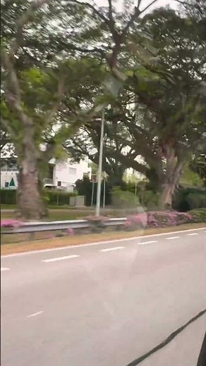 Singapore Street View and City of Lights 🌆✨