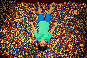 3.6K views · 68 reactions | Happy Birthday LEGO brick! Your awesomeness has stood the test of time! | LEGOLAND Florida | Facebook