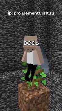 LAST DAY OF BORI? ~ Elemental Server #minecraft