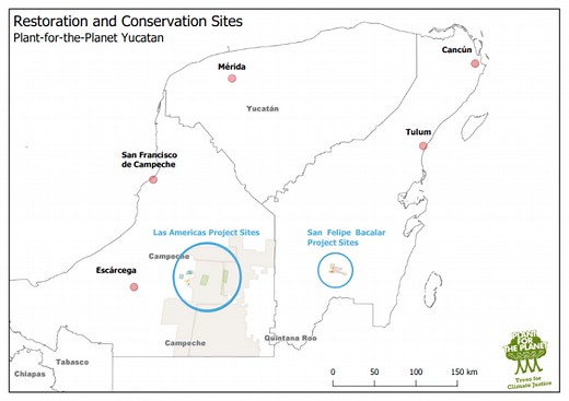 Yucatán Restoration: Protecting & Restoring Mayan Forests | Plant-for-the-Planet