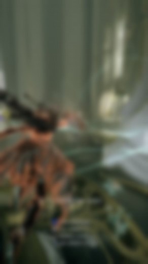 Yareli's Top Builds in Warframe Explained