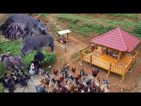 FULL VIDEO: HOW TO Build a Farm Life in 45 Days | gardening, animal husbandry, beautiful farms