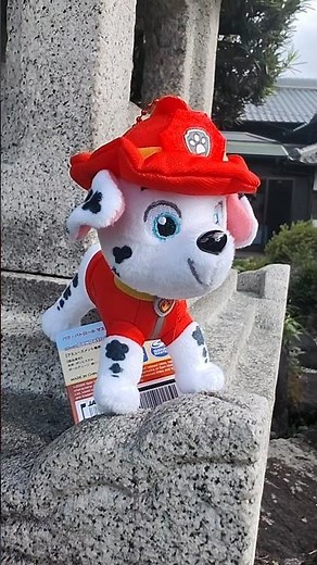 PAW Patrol toy collection #462: #cute Marshall #plush from SK #Japan ! Sweet lil guy #pawpatrol #toy