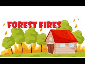 What is Forest Fires? - Forest fires impact on Environment