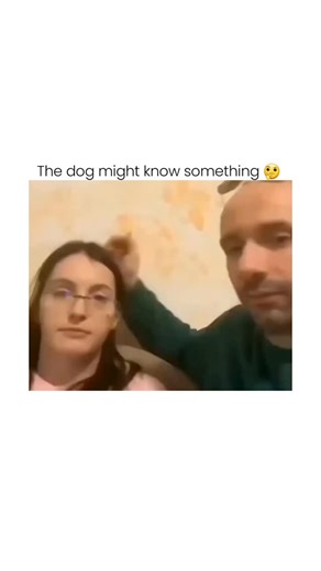 Meme Hub on Instagram: "- The video captures a moment of playful interaction where a dog, possibly sensing tension or change in the relationship dynamics between a couple, intervenes by physically separating them, a behavior that aligns with studies on canine social cognition suggesting dogs can perceive human emotions and respond accordingly, as evidenced by research in "Animal Cognition" (e.g., Mongillo et al., 2010). - This scene humorously reflects a cultural narrative where pets, particular