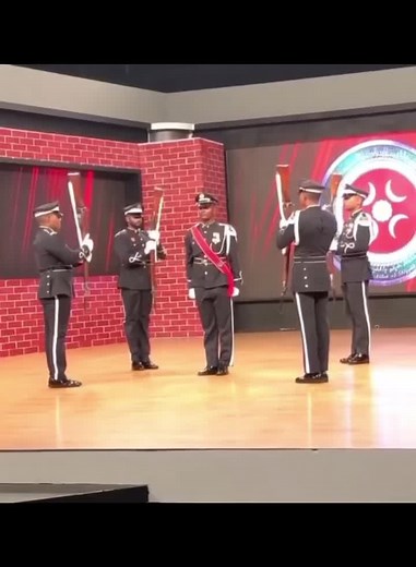 Military Ceremony: Uniformed Precision in Action