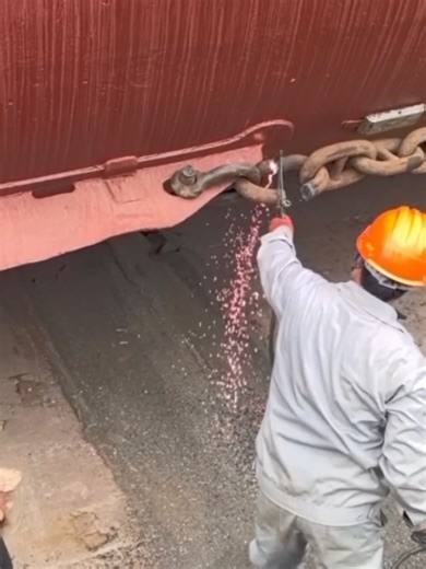 Exploring the Harmony of Ocean Life and Sailing