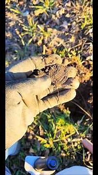 Metal Detecting SHOCKER — Old Bank Token Found!