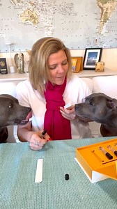 This is a bit of Fun - the sniff test can tell you a lot about your dogs health We know nobody lines up for a sniff of your dogs breath but before you turn up your nose , its worth paying attention . Sometimes , unusal odours could be a sign of health issues like dental disease , diabetes or even kidney disease . Thats why Petbarn and ProBalance created the scents check - a sniffable guide to raise awareness to the fact that your pets breath can tell you more than you think . | Peggy and Molly