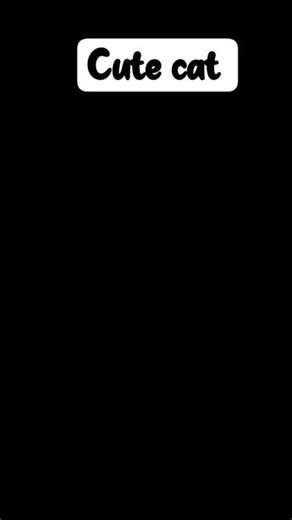 cute cat 😺 #shortvideo #ai_fact_555