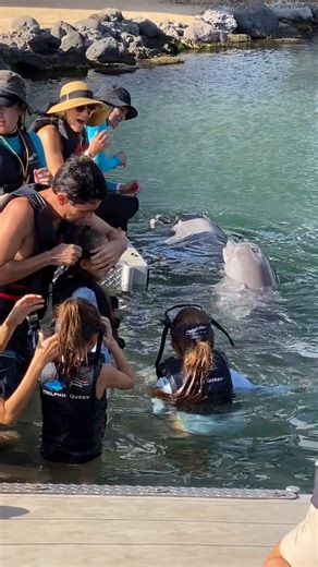 3.1K views · 220 reactions | I always get asked, “What’s a fun fact about you that most people wouldn’t guess?” And here’s one… Long ago I wanted to work with dolphins, have a dolphin and be an oceanographer. But that changed relatively quickly because I don’t have the aptitude for it.  Here’s video from the day I took my @thebabytoon entrepreneur from #SharkTank Cassidy & her family swimming with dolphins in Hawaii. #dolphins #hawaii | Lori Greiner | Facebook