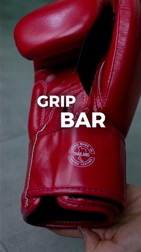 Guantes Fairtex BGV1 C Plus