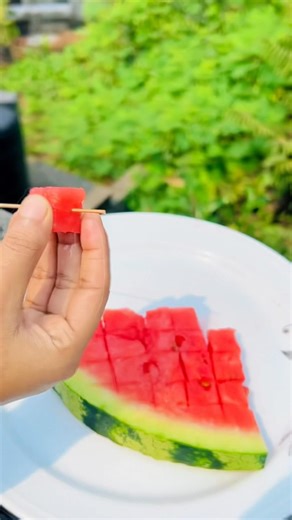 তরমুজের ললিপপ🍉#shorts #viralshorts #shortvideo