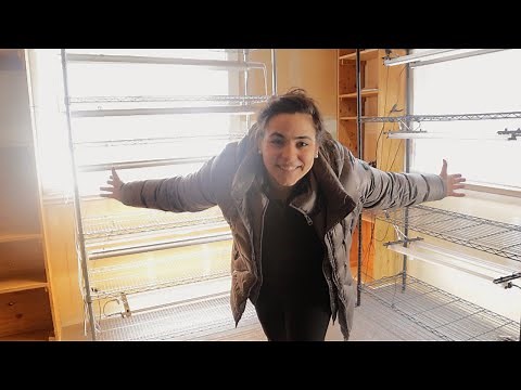 Seed Starting Essentials - Setting Up an Indoor Grow Room