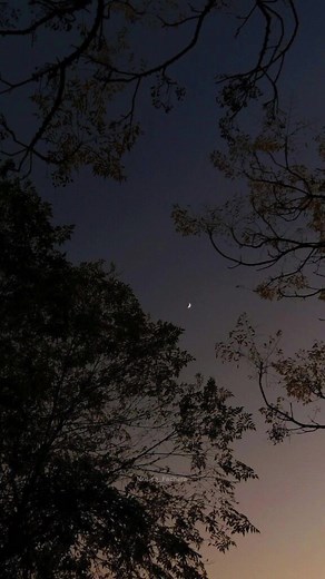 Videos de Musica_Fachera (@musica__fachera) con “sonido original - Musica_Fachera”