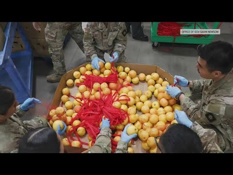 CalFresh benefits paused as shutdown enters day 24, food banks overwhelmed