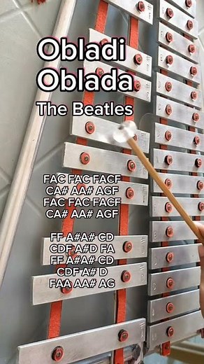 OBLADI OBLADA/THE BEATLES/LYRE XYLOPHONE COVER