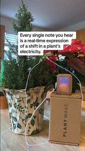 Through patented sonification technology, PlantWave measures biological changes within plants,