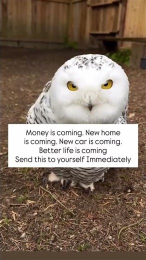 Positive Affirmations WHILE SLEEPING! LAW OF ATTRACTION To MANIFEST Health, Wealth & Happiness FAST!