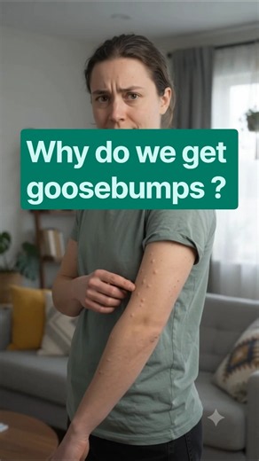 Why Do We Get Goosebumps? 🧠🥶 The Science Explained!