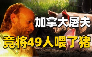 白天宰猪卖猪，晚上开派对猎杀女性，活活将一家大型养猪场，变成人间炼狱，加拿大奇案-Robert Pickton