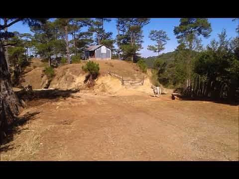 Ibaloi songs collection