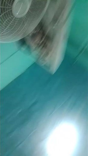 pov: your computer is getting destroyed with a virus but the virus sound has beats