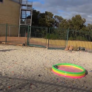 BOWLING BALL Vs. OOBLECK from 45m! | How Ridiculous