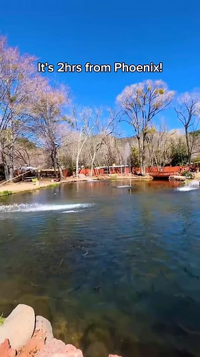 Have you been to Rainbow Trout Farm? 🎣 🏜 One of the coolest and least expensive experiences in Sedona! Tag a friend! #welcometoarizona #sedona #fishing #familyfun #travel #usa #viral | Welcome to Arizona
