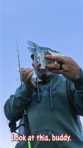 Biggest Crappie Ever Caught On Camera!