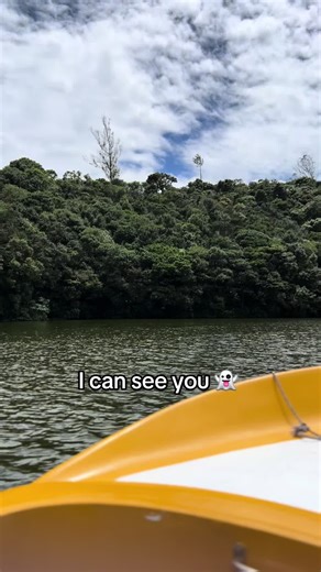 PRINCESS LINE on TikTok