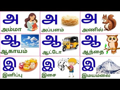 அ ஆ இ ஈ உயிர் எழுத்துக்கள்|Learn Tamil Alphabets|Uyir Ezhuthukkal|Aaaeiee| @meowkutty2023
