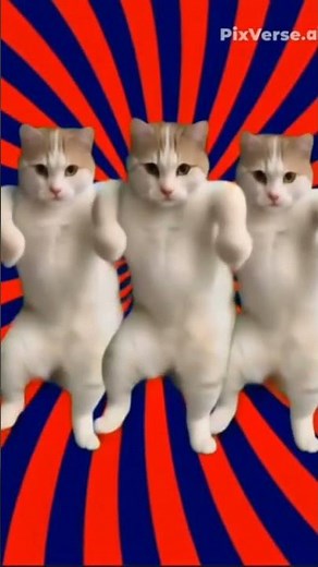 #cat and dog dancing funny #shorts