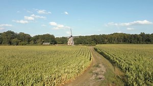 免費視頻 - 风车, 小路, 原野, 树木, 农田, 森林, 自然, 景观, 夏时制