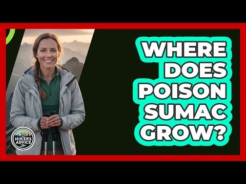 Where Does Poison Sumac Grow?