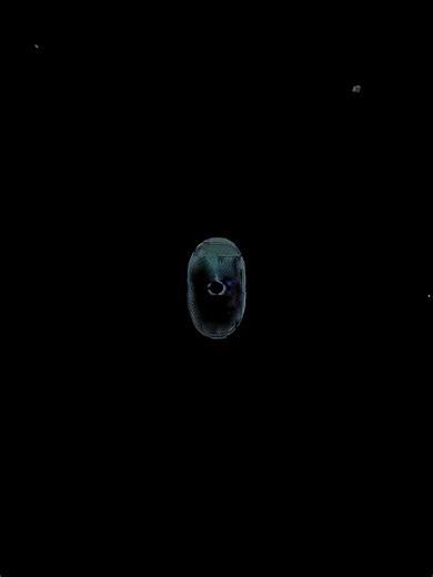 || chelseafc X color wheel trend || A bit late but whatever 😅😅##chelseafc #footballedits #footballtiktok #colepalmer #socceredits #goal #trend #colorwheel #colorwheeltrend