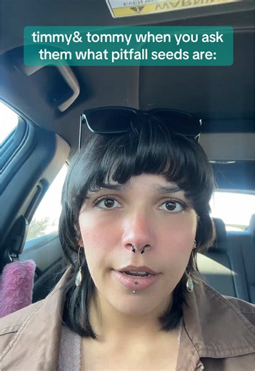 Understanding Pitfall Seeds in Animal Crossing