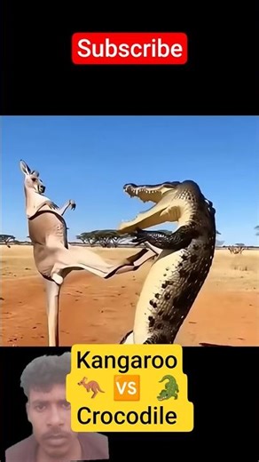 Kangaroo’s Super Power Kick! 💪🦘⚡ 🐊#funny #animals #shorts