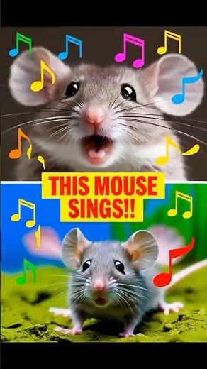Singing Mice: Nature's Hidden Talent!