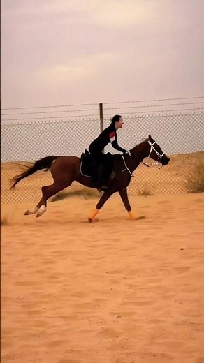 Girl Horse Speed Up 🤯🐎 | Fast & Powerful Horse Riding